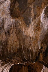 Patterned structure on cave wall.
