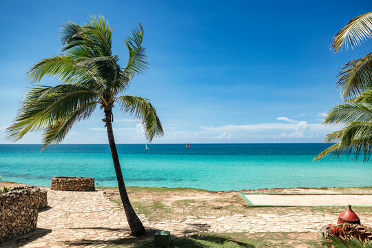 Palm Trees Overlooking Crystal Clear Waters in Varadero, Cuba
