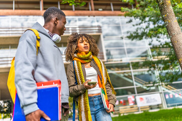 Multiethnic students walking along the university campus and talking