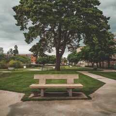 A photo of a concrete bench in a park. The bench is situated near a tree, with lush green leaves. There's a path leading to the bench. The background contains other benches and trees. 