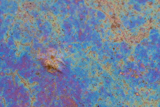 Vibrant colors and intriguing textures in a small puddle