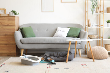 Cat litter box with feeding bowls and pet bed on carpet in living room interior