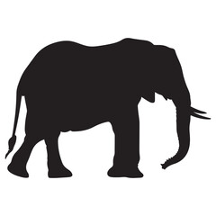 Fototapeta premium Elephant black and white silhouette vector, vector silhouette of an elephant on a white background