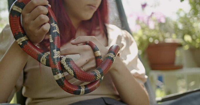 Closeup of a female with red hair holding her pet milk snake.