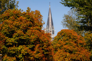 Autumn in Vondelpark, Yellow orange leaves on trees with Vondelkerk Church tower as background,...