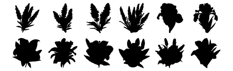 Flower silhouettes set, pack of vector silhouette design, isolated background