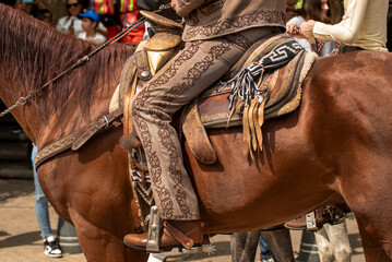 persona montada, caballo, correa, animal, ecuestre, charreria, jalisco, charro © fergomez