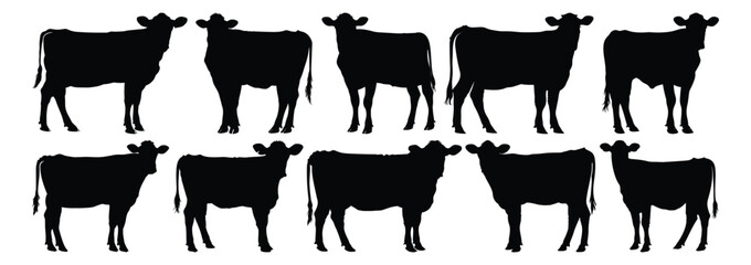 Cow silhouettes set, animal pack of vector silhouette design, isolated background © FutureFFX