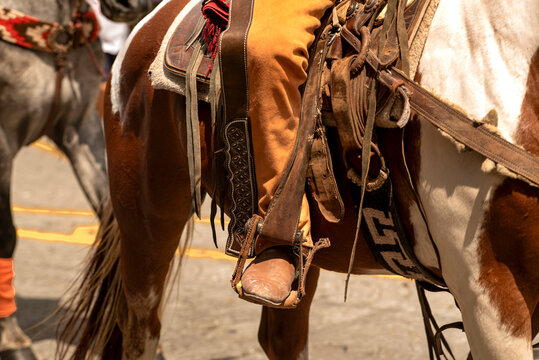 persona montada, caballo, correa, animal, ecuestre, charreria, jalisco, charro