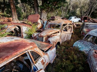 Abandoned and rusted classic cars  in the The historical Horopito Motor Wreckers - Smash Palace,...