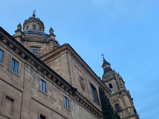 ciudad rodrigo salamanca detalles 2024