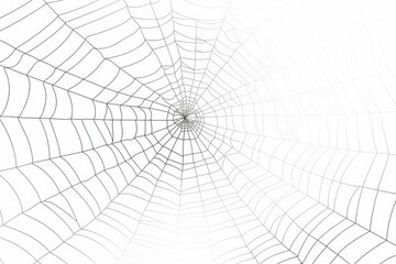 Intricate spider web design in soft shades of gray