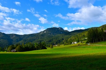 Obraz premium View of a forest covered hill above meadow at Zgornje Jezersko in Gorenjska, Slovenia