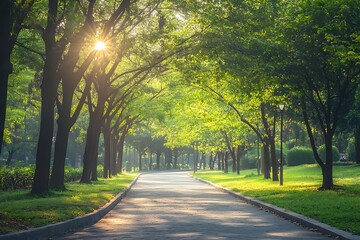 Obraz premium Sun shining through trees on a path in a green park