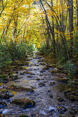 Oconaluftee River at Great Smoky Mountains National Park.