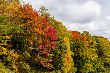 Beautiful autumn colors of the Blue Ridge Mountains in Tennessee.