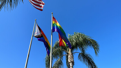 Gay Pride Flags and the American Flag - LGTBQ+ 