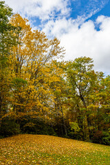 Fototapeta premium Beautiful autumn foliage along the Blue Ridge Parkway.