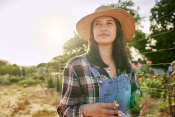 Agriculture, field and thinking with woman for quality inspection, sustainability and growth. Horticulture, farm and plant with person in countryside for food security, ecology and environment