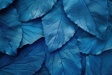 Obraz premium Closeup of a blue leaf texture abstract background