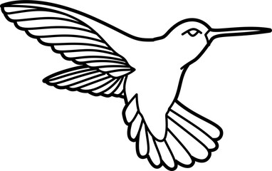 Humming bird coloring outline illustration vector