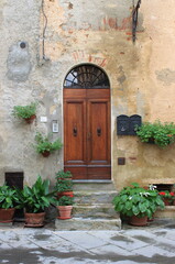 Medieval front door with plants