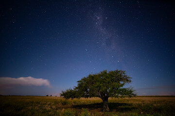 Pampas landscape photographed at night with a starry sky, La Pampa province, Patagonia , Argentina.
