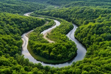 Aerial View of a Serpentine River Winding Through a Lush Forest