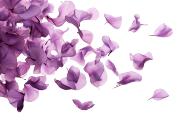 PNG Purple flower petals flying in the air lilac plant white background.