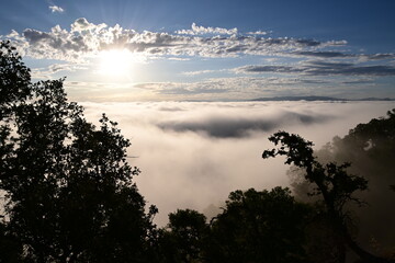 Fototapeta premium sunset over the clouds