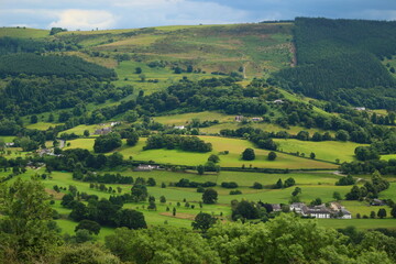 landscape with green fields