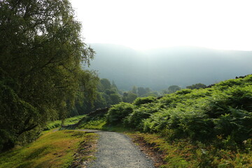 road in the mountains