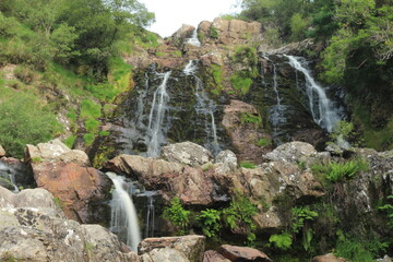 waterfall in the forest