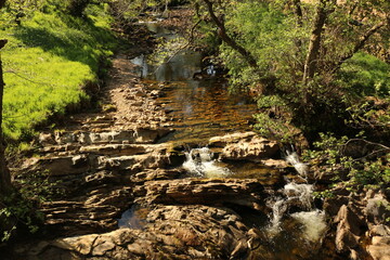 stone steps in the forest