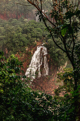 waterfall in the forest
