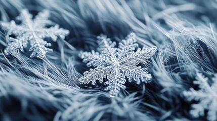 Close-up of delicate snowflakes resting on soft, frosted surface, creating a serene winter atmosphere with intricate details.
