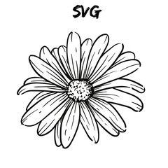 hand drawn flower