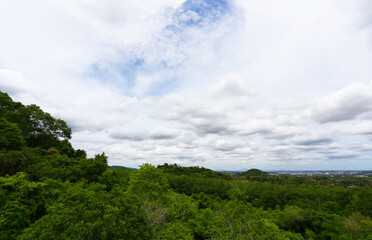 Green forest view and looking at Pinthong 3 Industrial Estate located in Sriracha District, Chonburi Province, with the sky and white clouds as the background.