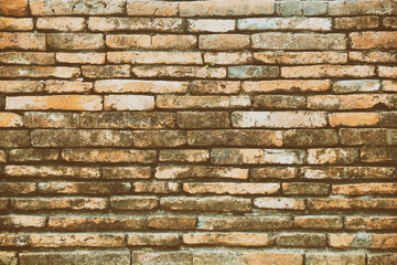 Surface of the red brick wall is old, dirty and covered with black mold.