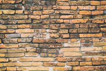 Surface of the red brick wall is old, dirty and covered with black mold.