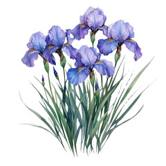 PNG  Small Bouquet Purple