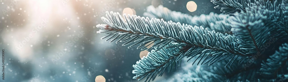 Poster close-up of a snow-covered pine branch with soft sunlight and blurred bokeh background, creating a s