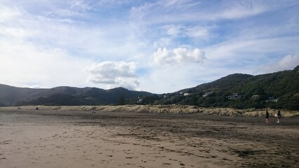 Beachcombers on Piha Beach in Auckland New Zealand Photo