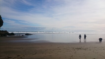 Beachcombers on Piha Beach in Auckland New Zealand Photo