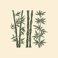 Obraz premium Set of bamboo with engraving style design vector illustration