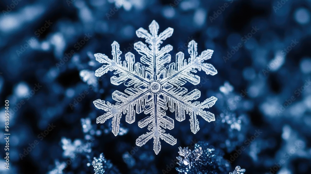 Poster a delicate snowflake resting on a bed of frost, showcasing intricate patterns and a beautiful icy te