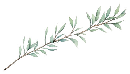 PNG Aesthetic watercolor background tree branch plant.