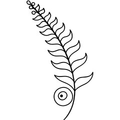 feather illustration