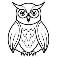 owl on white background