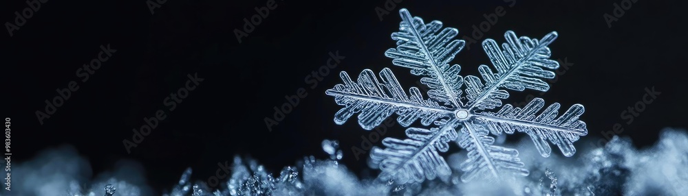 Poster a delicate snowflake rests on a soft surface, showcasing intricate patterns and the beauty of winter